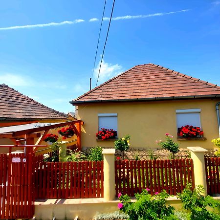 Kata Vendeghaz Apartment Sátoraljaújhely Екстериор снимка